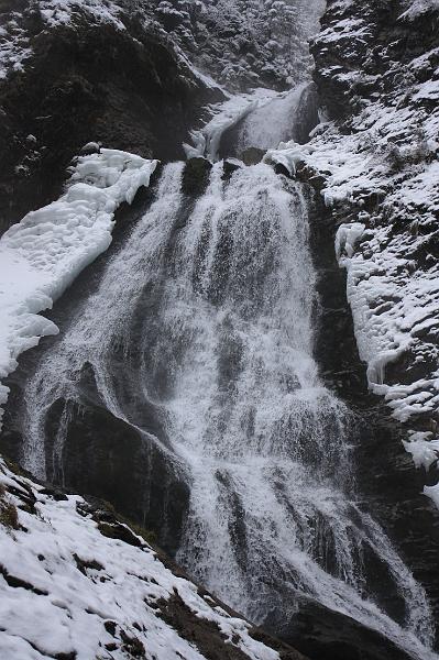_MG_9195.JPG