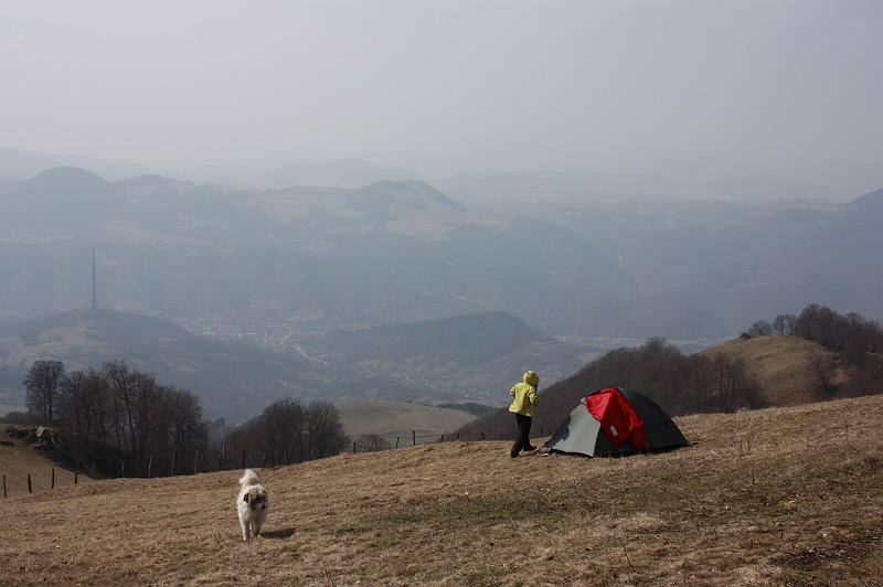 _MG_9559.JPG
