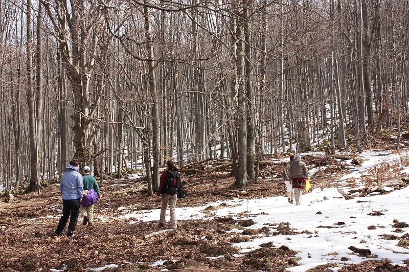 _MG_9618.JPG