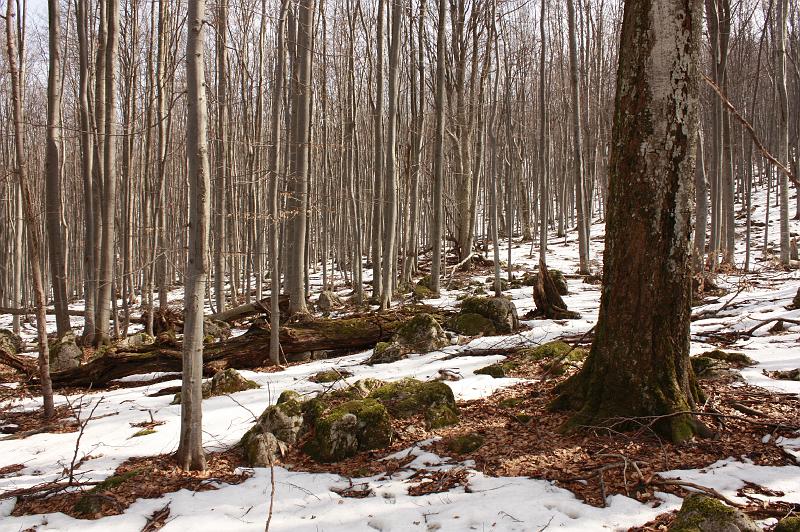 _MG_9621.JPG