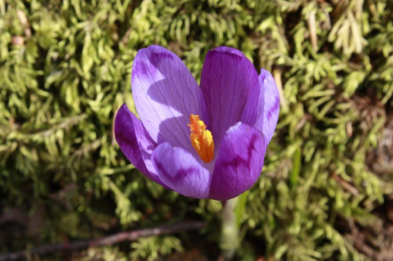 _MG_9654.JPG