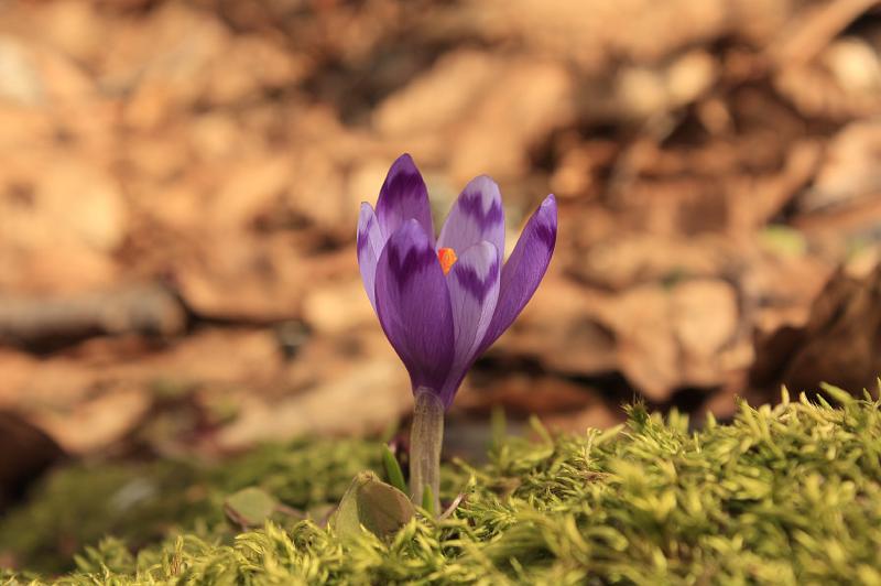 _MG_9670.JPG