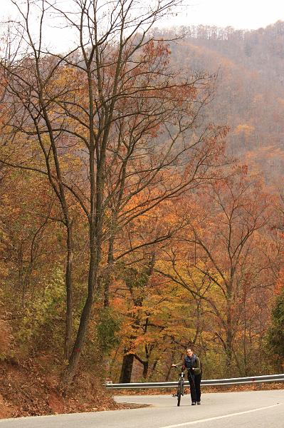 _MG_2427.JPG