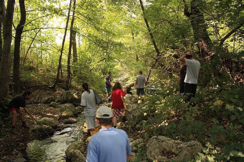 _MG_1440.JPG