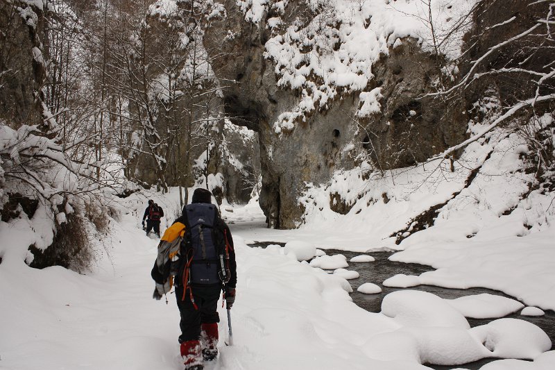 _MG_3650.JPG