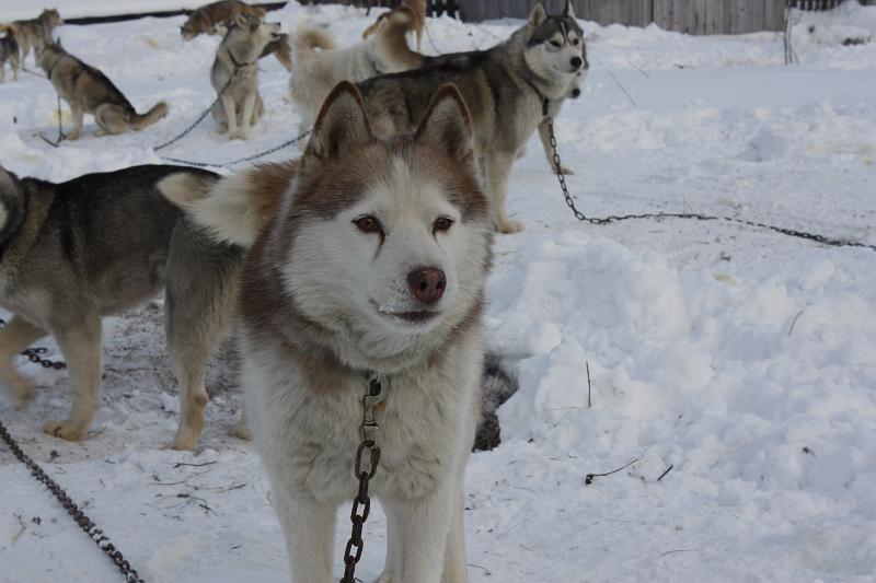 _MG_2972.JPG